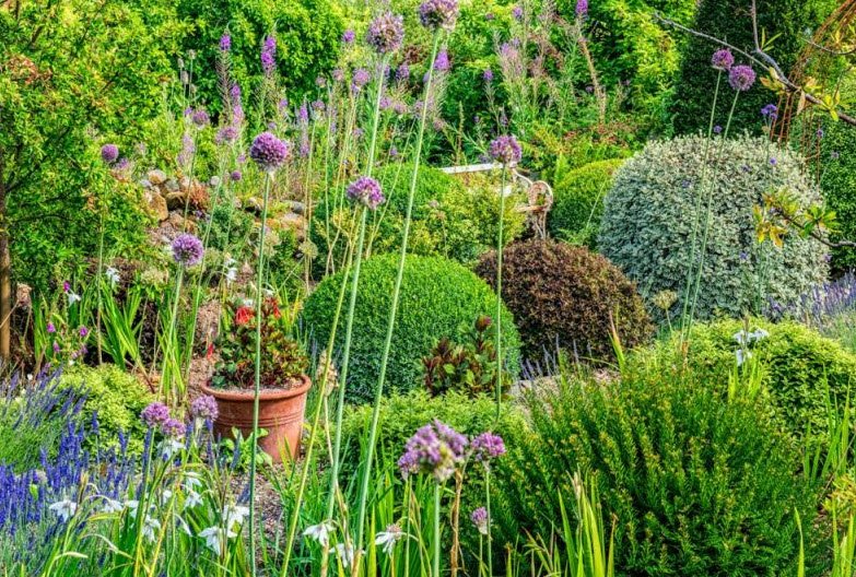 Dyffryn Fernant Garden, United Kingdom